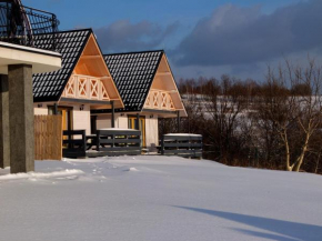Гостиница Apartament Żywiec, Живец